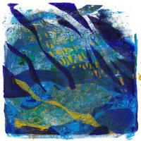 Fisch 05