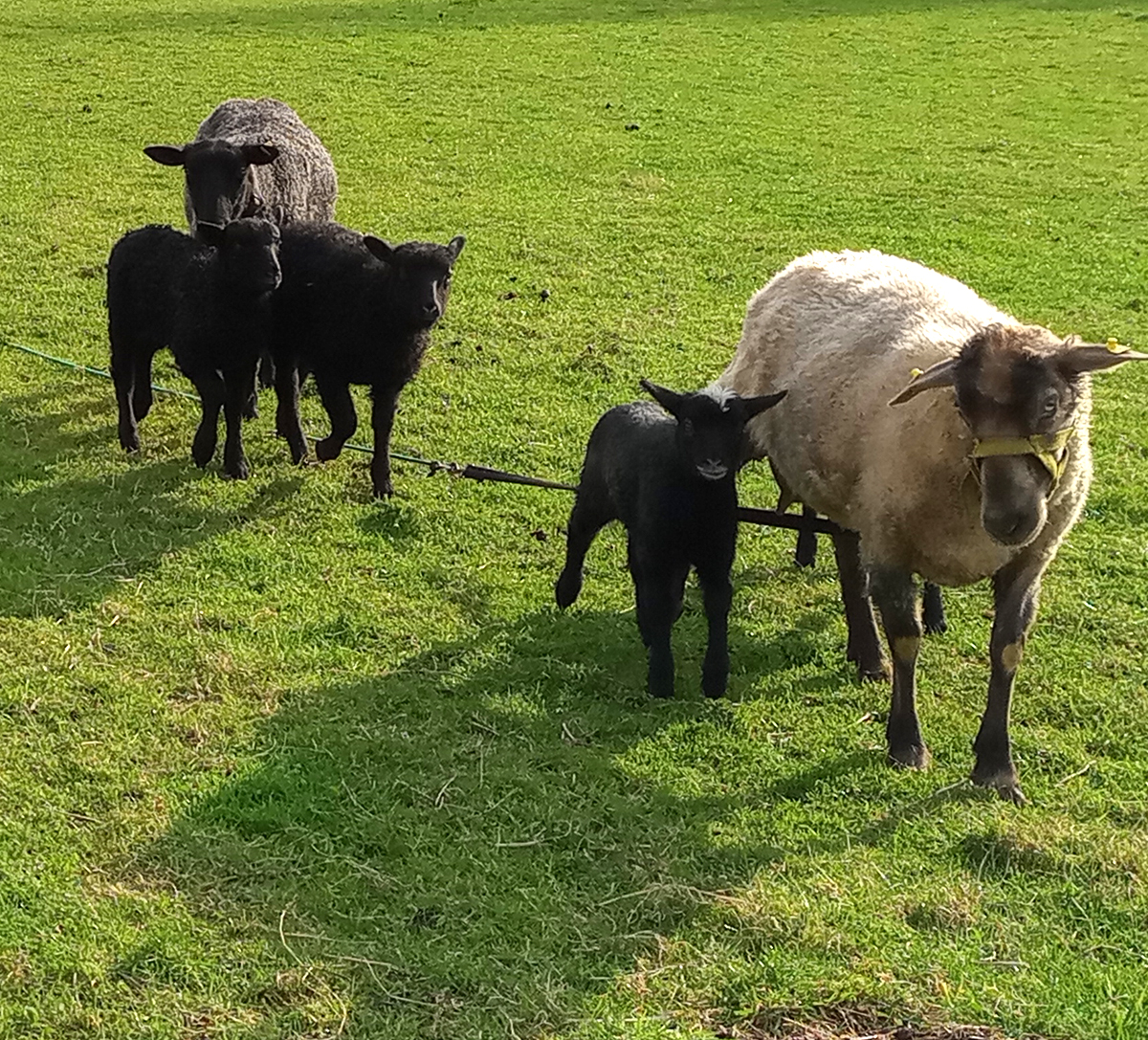 Der Winter hat noch Spuren hinterlassen